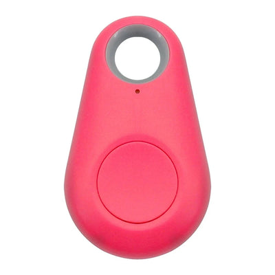 Pet Smart GPS Tracker